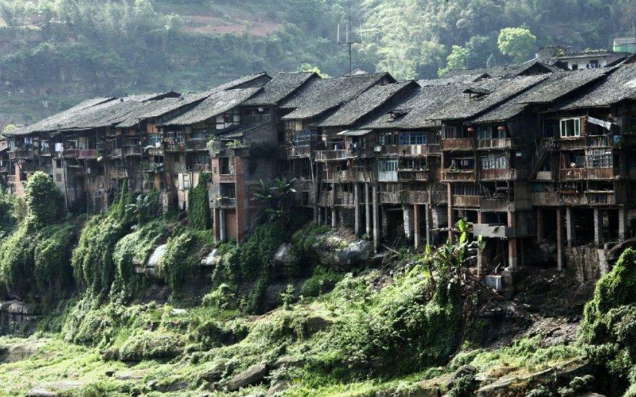 三主粮是骗人的吗?-小宗的知识站(2025-05-23已更新)